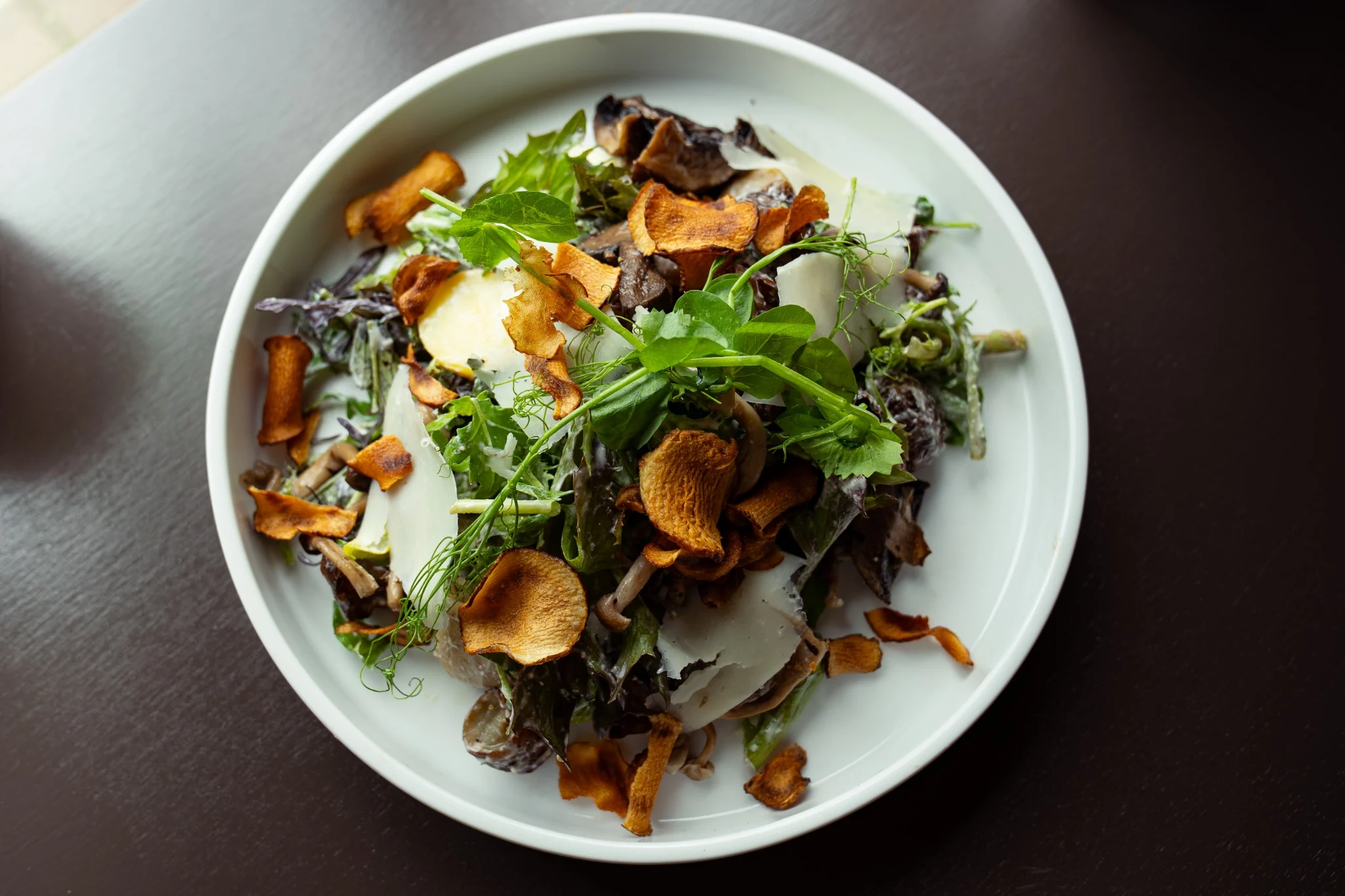 Fresh salad with mushrooms greens and shaved cheese at Jimmy’s