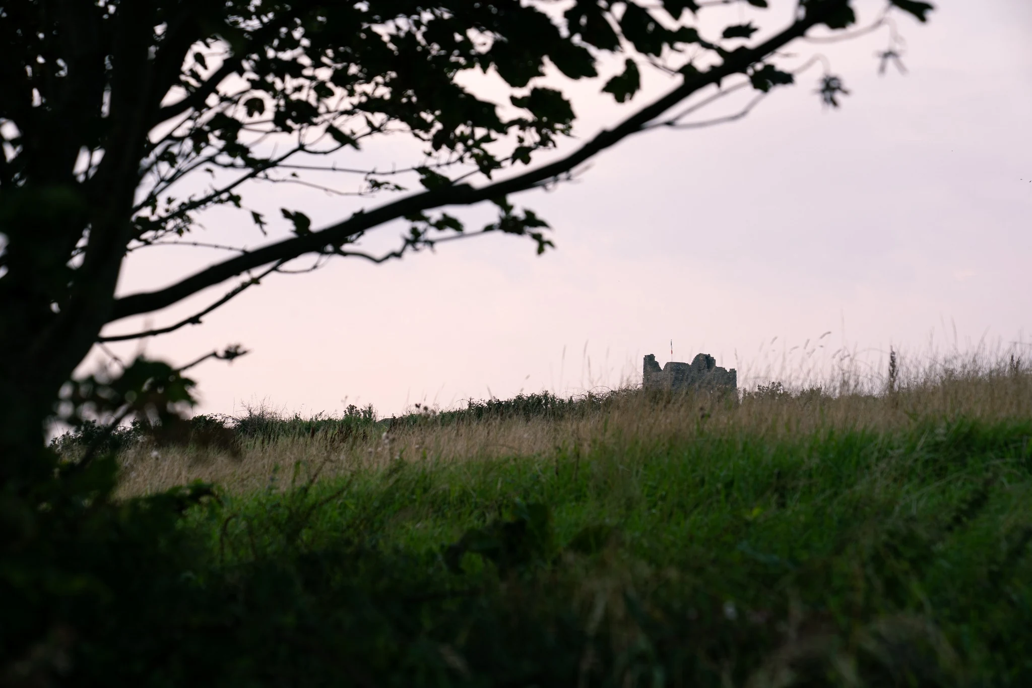 Historic ruins seen through grass and trees in the Irish countryside